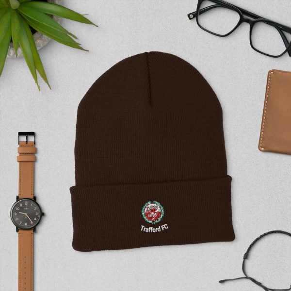 Cuffed beanie - Image 3