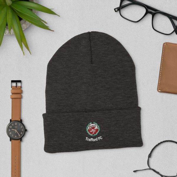 Cuffed beanie - Image 5