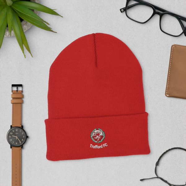 Cuffed beanie - Image 7