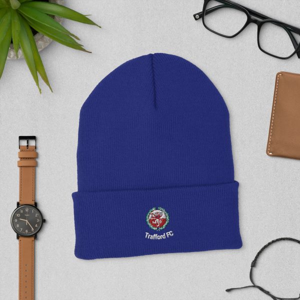 Cuffed beanie - Image 6
