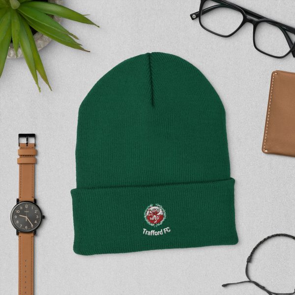Cuffed beanie - Image 9
