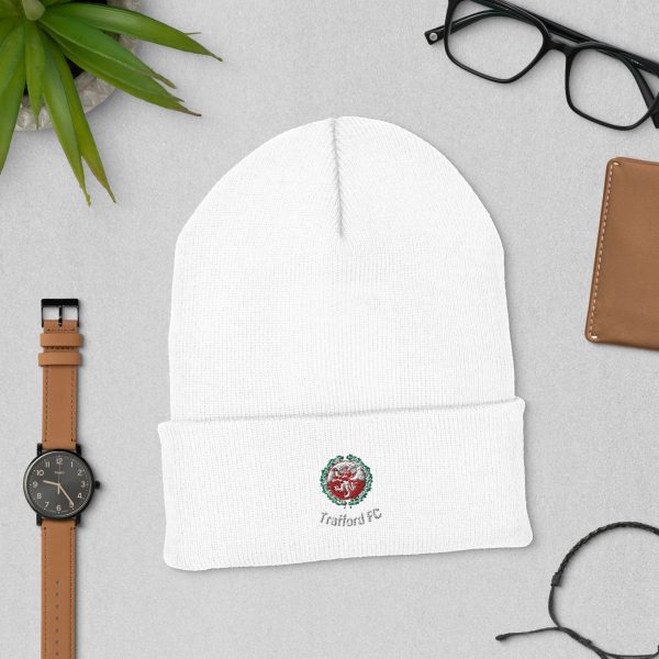 Cuffed beanie