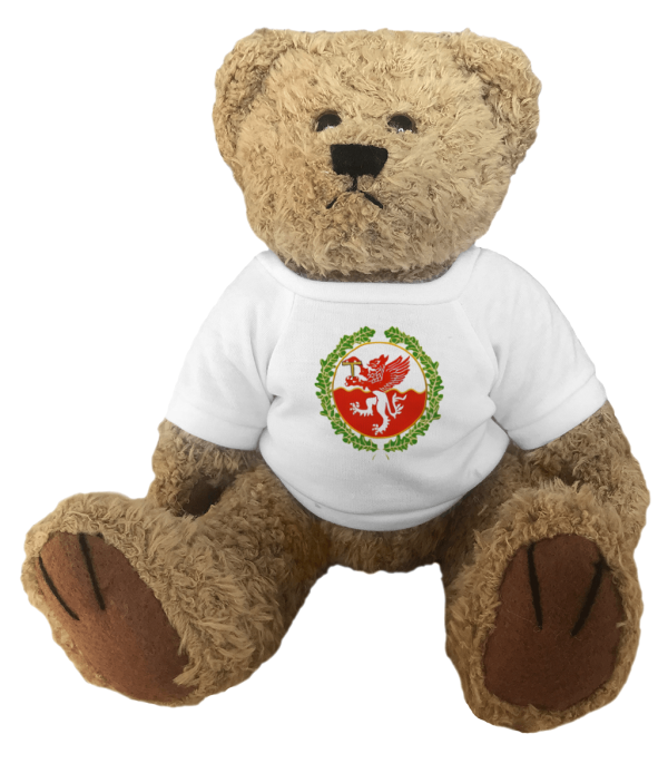 Teddy Bear TFC